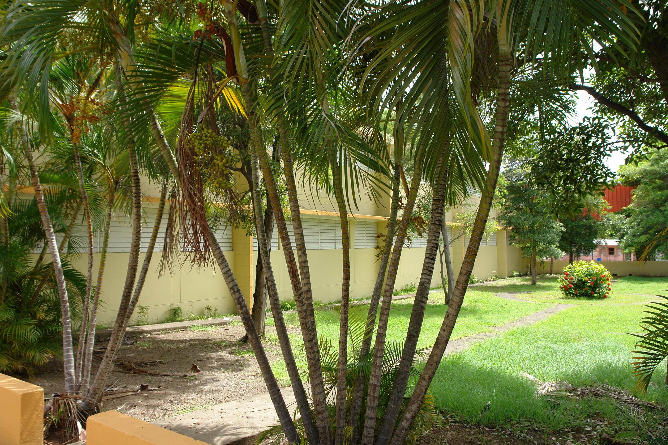 PR - Coamo - 2010 00003